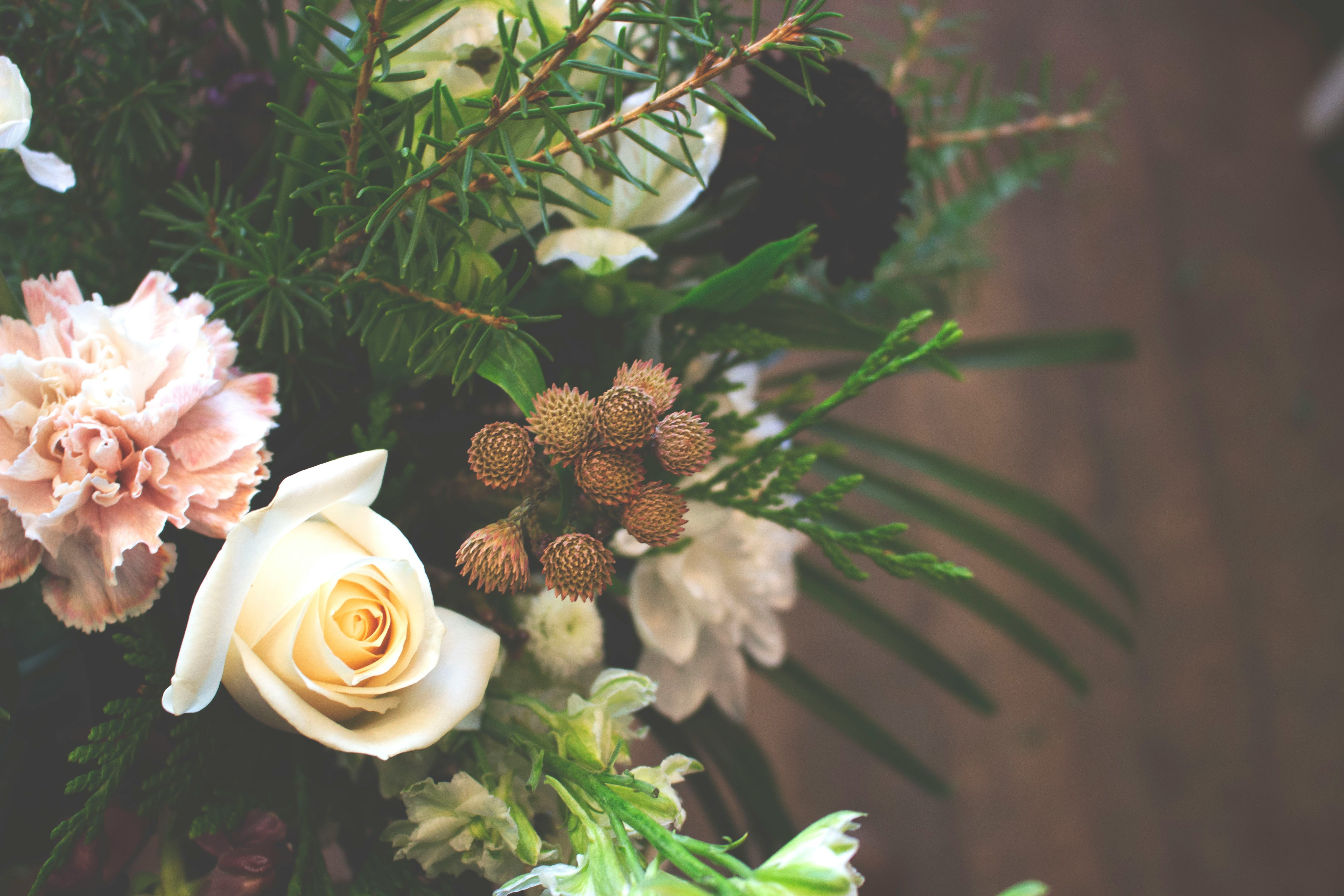 selective focus photography of white flowers