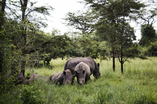 Karamoja people