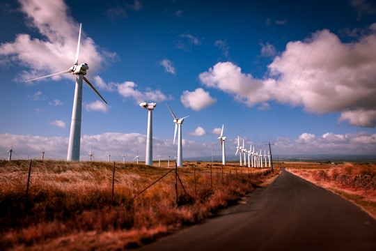 A row of wind turbines turning gently against a clear blue sky on tribal land.