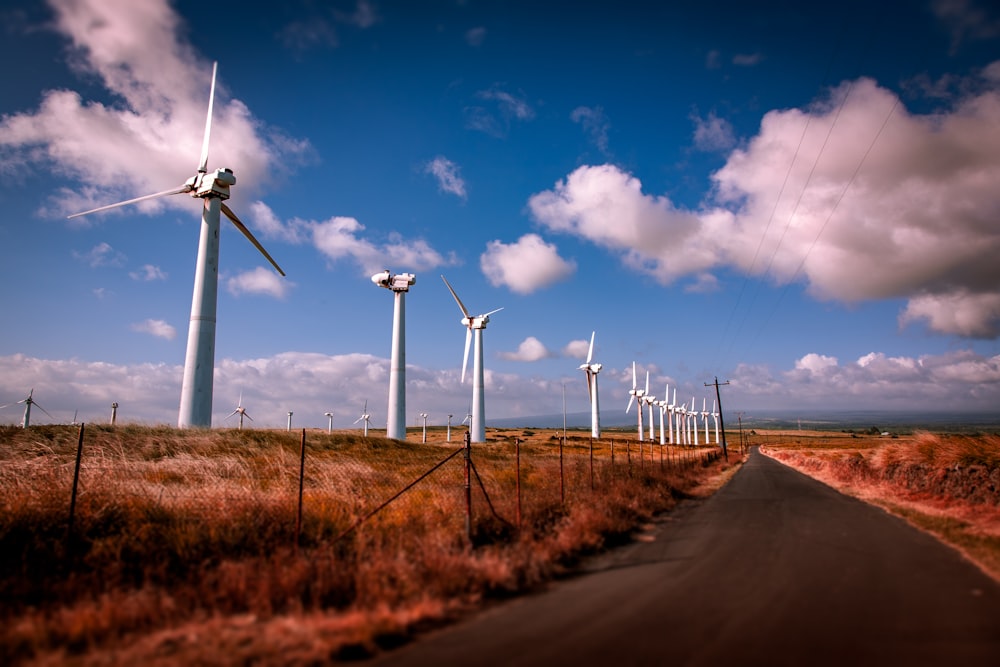 Molinos de viento al lado de la carretera