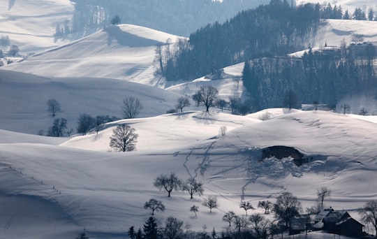 snowy field during daytime in Hirzel Switzerland