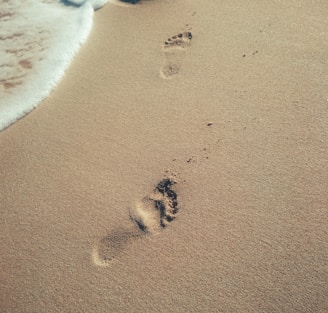 brown sand beside sea