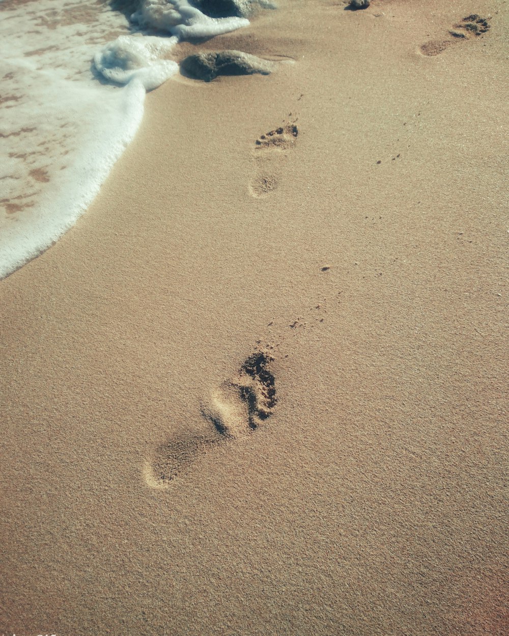 brown sand beside sea