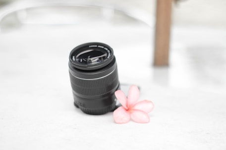 Close-up of a camera lens focusing on a delicate flower in soft sunlight.