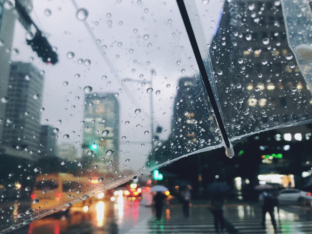 people walking on road during rainy day