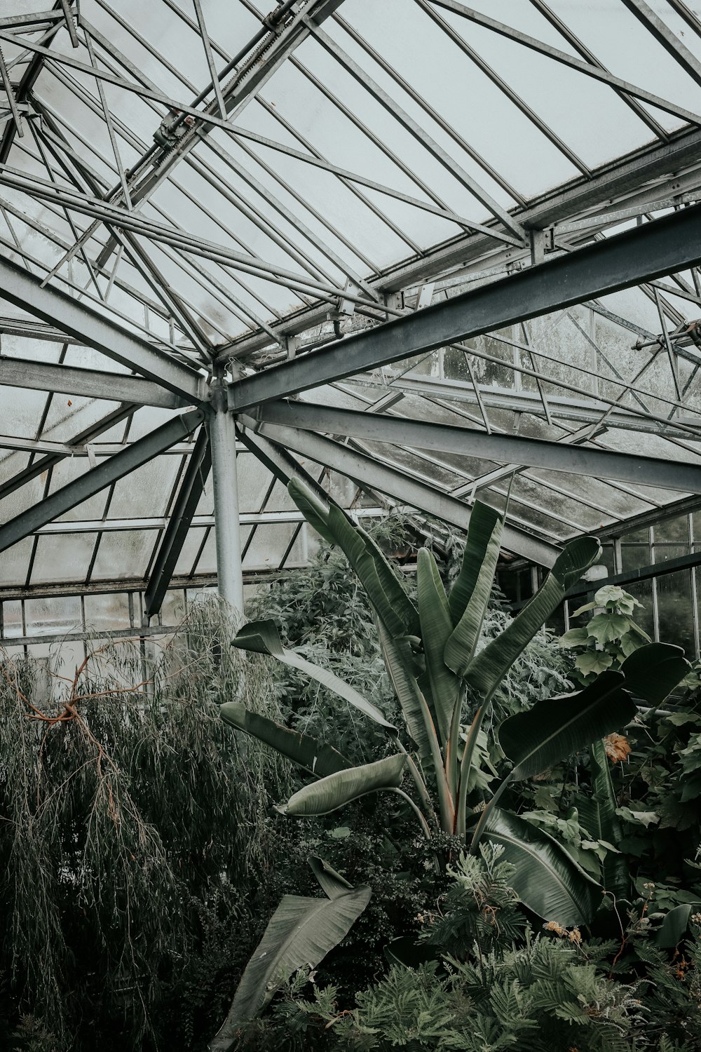 a greenhouse filled with lots of green plants