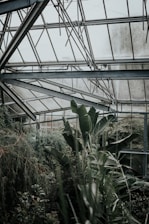 Engineers installing a sustainable greenhouse system surrounded by lush greenery.