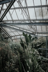 Engineers installing a sustainable greenhouse system surrounded by lush greenery.