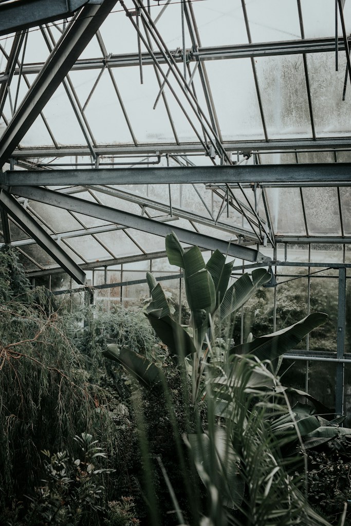 African Greenhouse Design