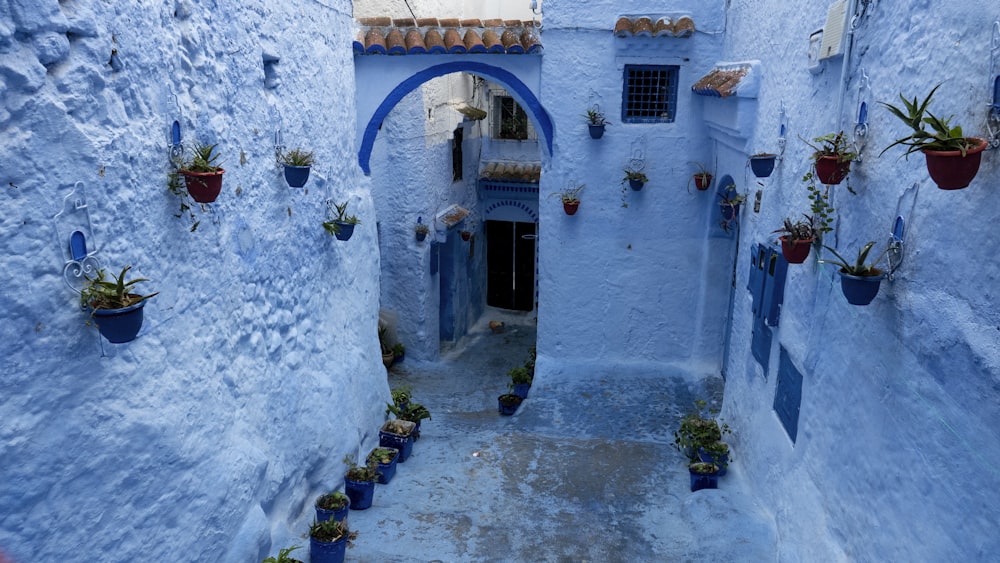 blue concrete house during daytime