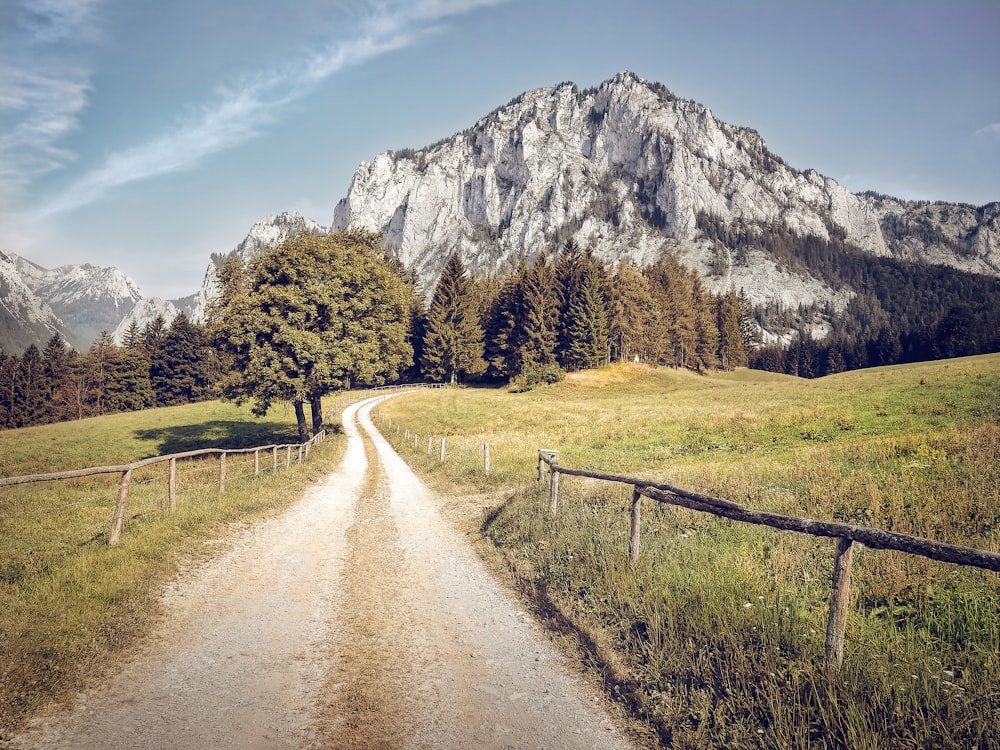 pathway in between grass fields