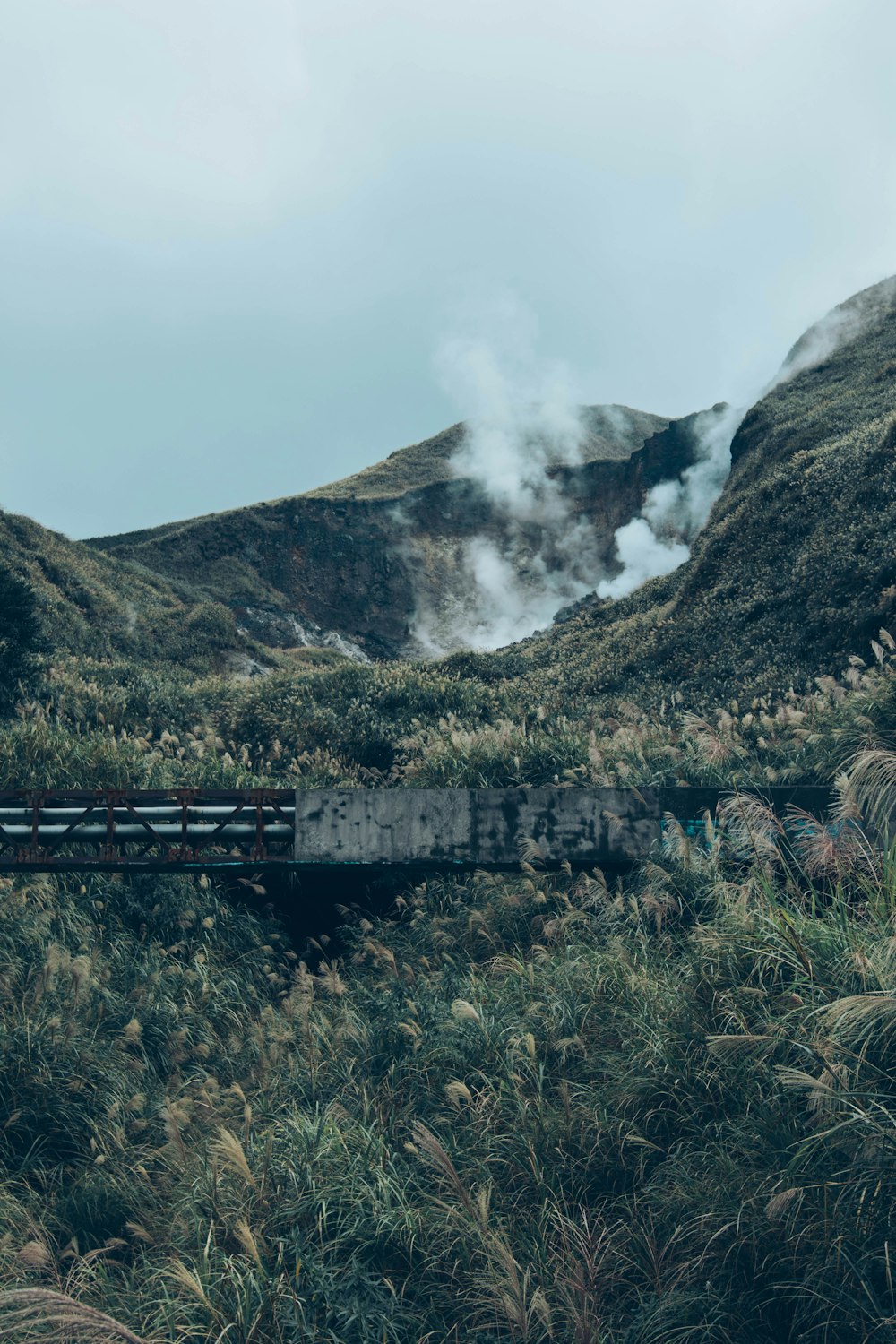 a train traveling through a lush green countryside