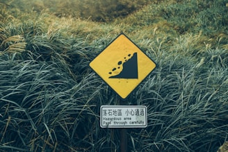 A yellow warning sign depicting a landslide hazard is placed amidst dense, lush green vegetation. Below the warning symbol, a smaller sign displays instructions in multiple languages, emphasizing a hazardous area that requires careful passage.
