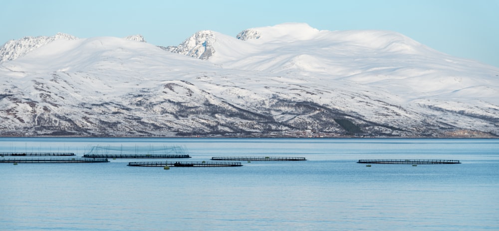 ocean near snow mountain