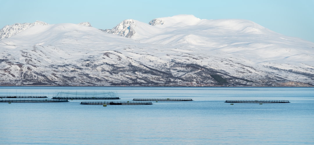 travelers stories about Glacial landform in Fv304 44, Norway