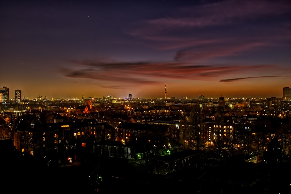 aerial view photography of city skyline