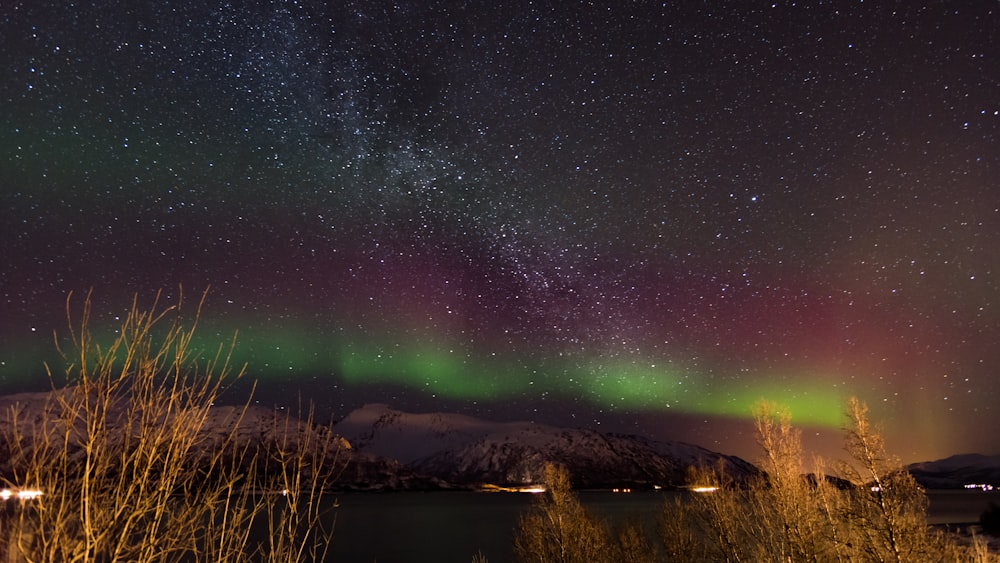 a view of the night sky with a lot of stars