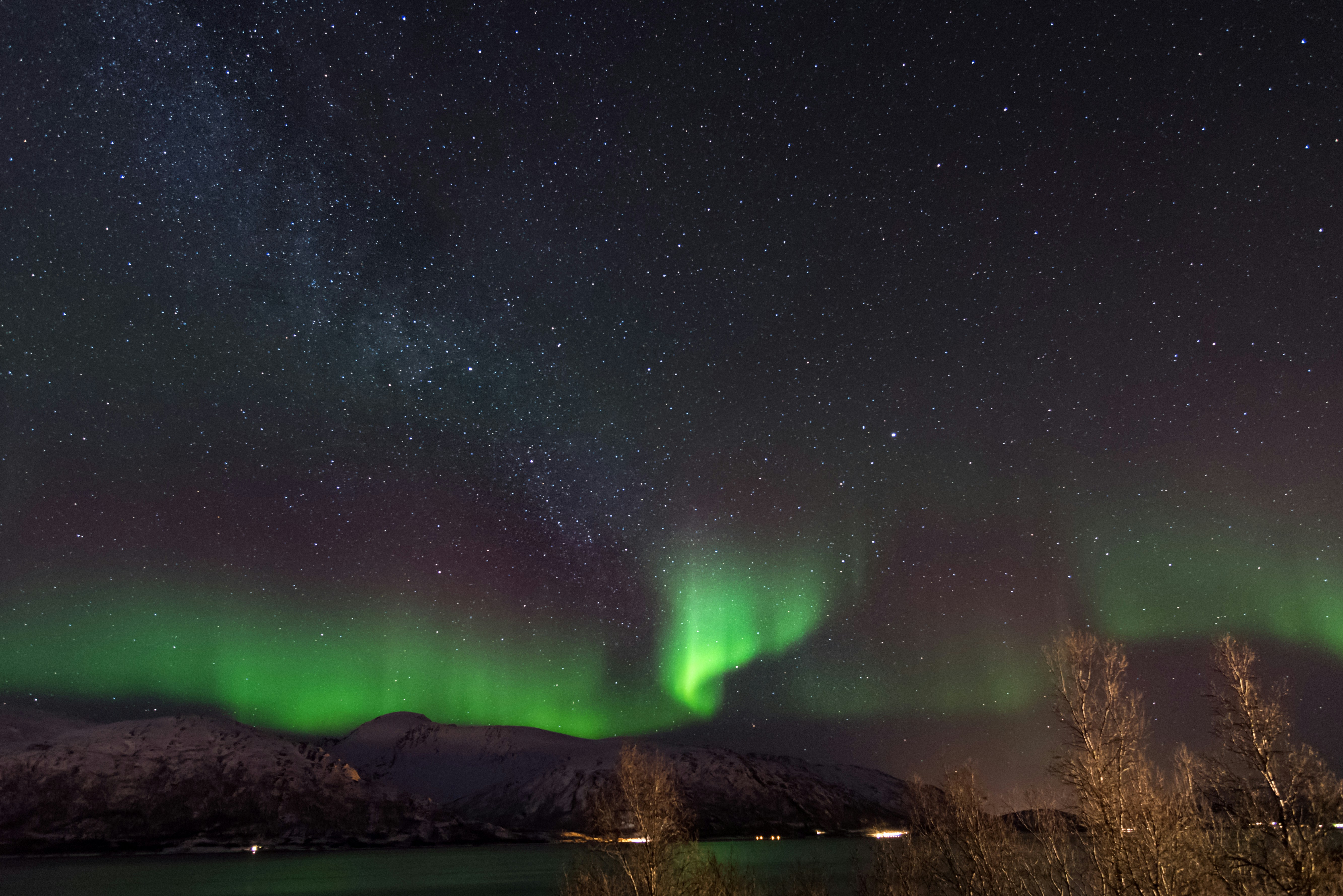 Photo by ludo_photos