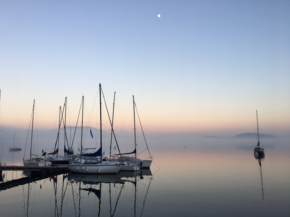 docked white boats during dawn