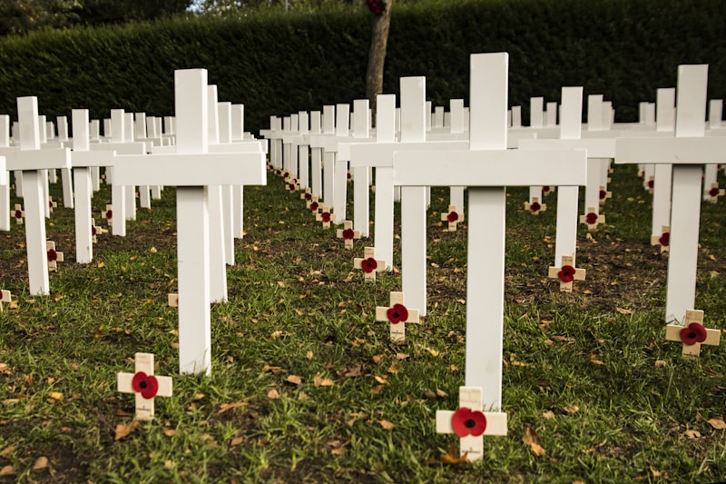 From Bruges to Flanders Fields