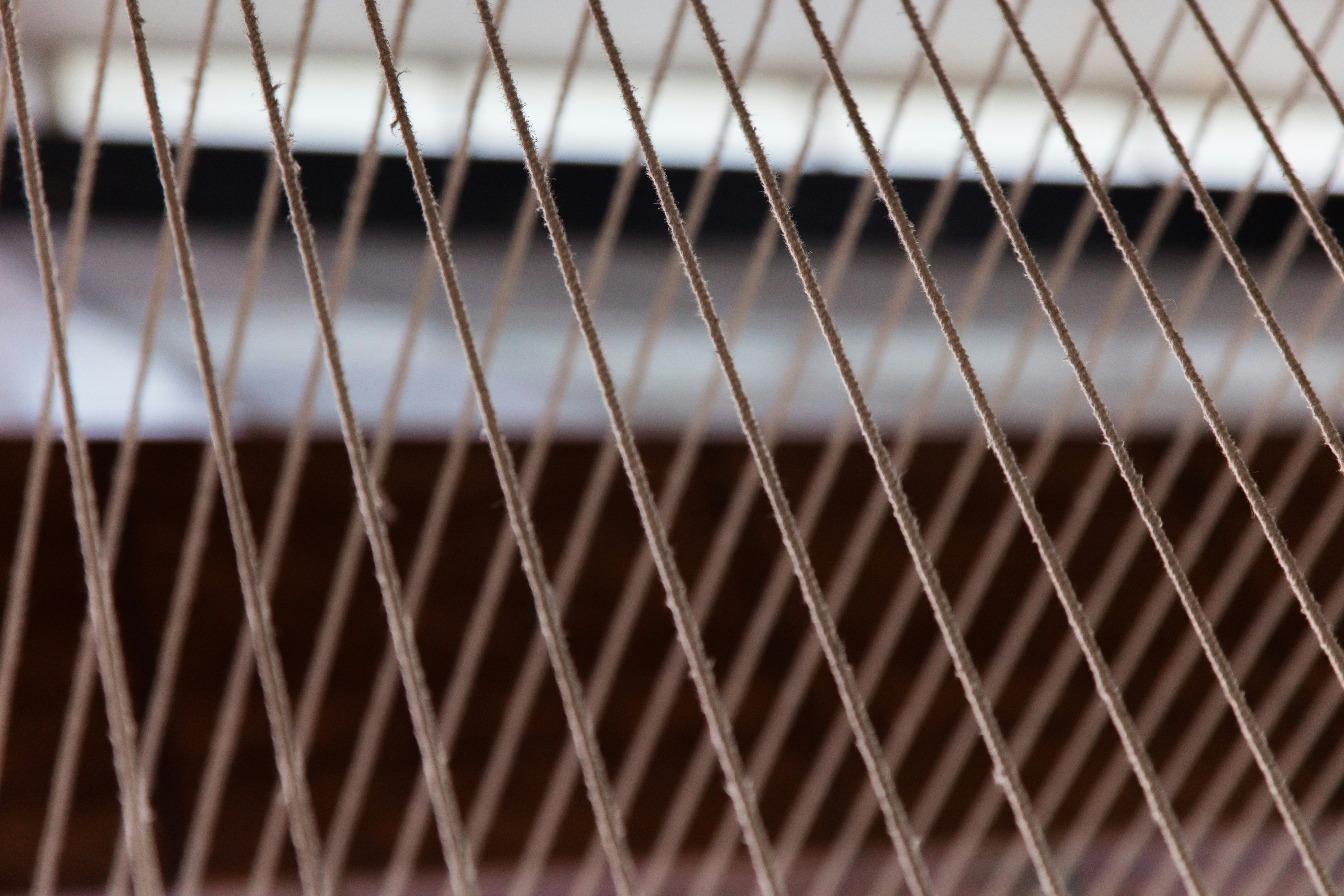 Photo by worldsbetweenlines