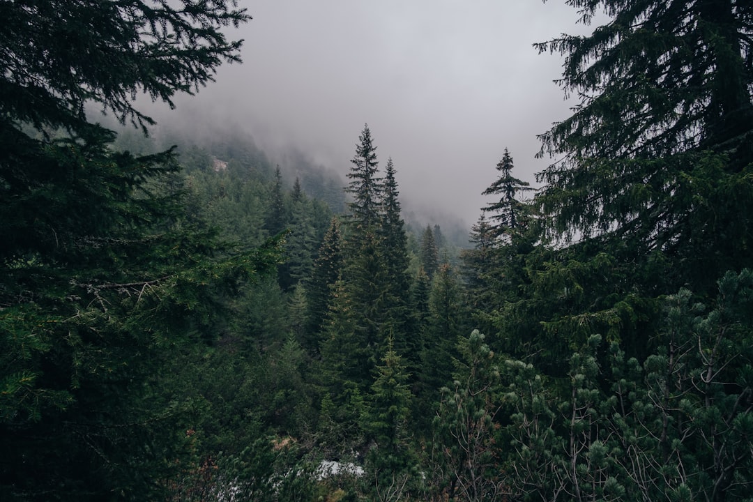 Natural landscape photo spot Rila Mountain Sofia