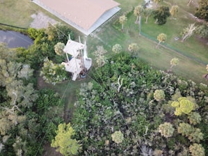 An aerial view of a lush green forested area with a wooden observation tower at the center. The tower is surrounded by dense foliage with various types of trees, including palms. There is a small building with a brown roof nearby, and a narrow stream or pond is visible at the edge of the forest.
