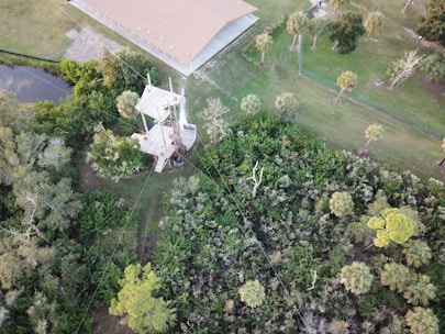 An aerial view of a lush green forested area with a wooden observation tower at the center. The tower is surrounded by dense foliage with various types of trees, including palms. There is a small building with a brown roof nearby, and a narrow stream or pond is visible at the edge of the forest.