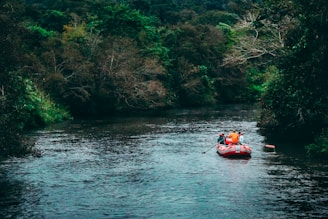 people riding raft at the river near trees
