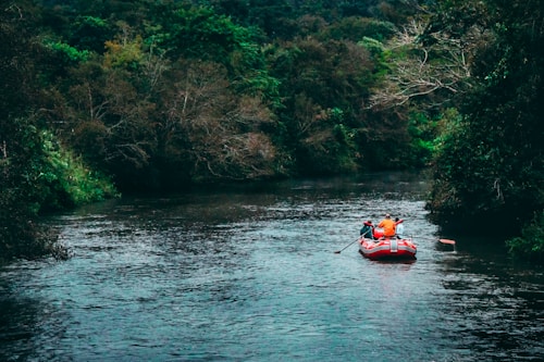 people riding raft at the river near trees