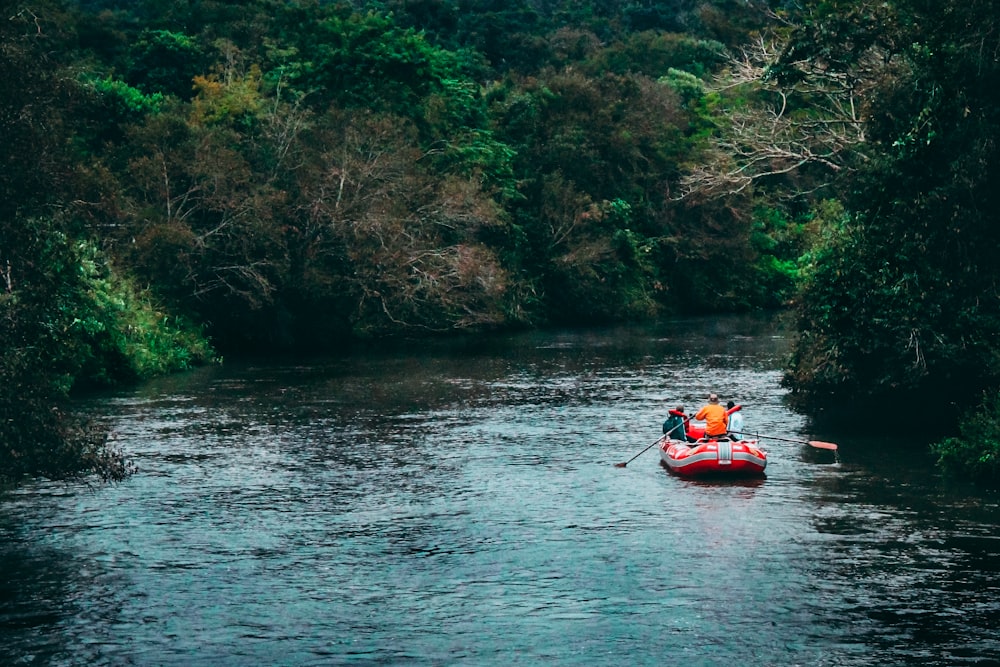 pessoas andando de jangada no rio perto de árvores