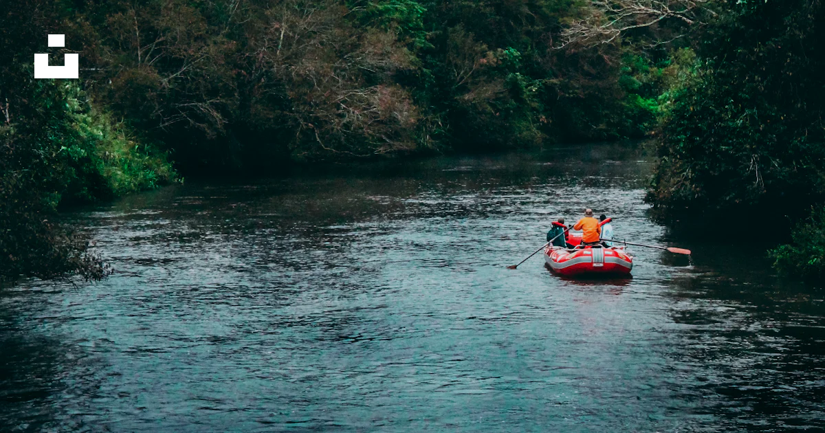Person Riding Raft People riding raft at the river near trees photo – Free People Image on ...