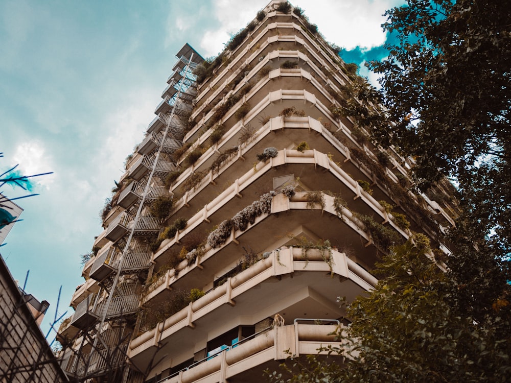 architectural photography of brown building