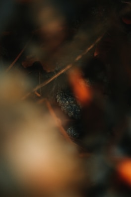 Soft-focus image of a digital product inspired by the rituals and rhythms of daily life in Junnar.