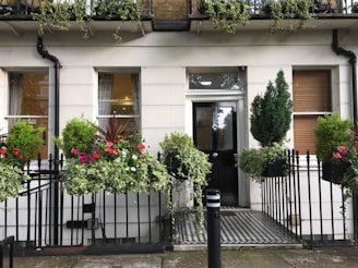 Elegant townhouse facade with wooden door and greenery around.