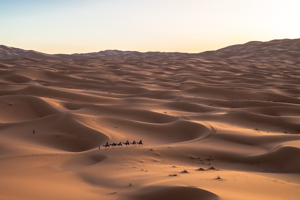 Sechs Personen reiten auf Kamelen in der Wüste