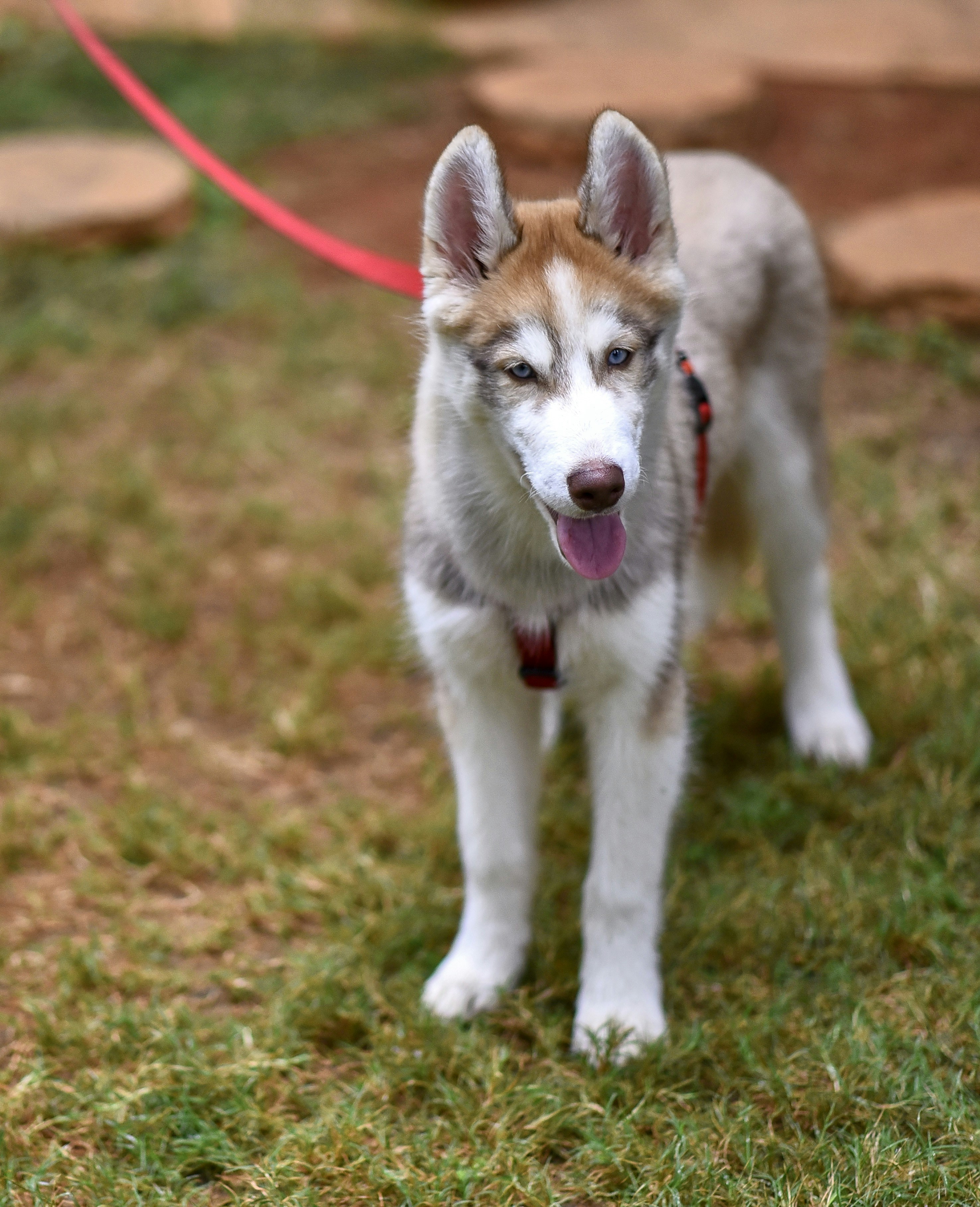 Photo by timesofwander