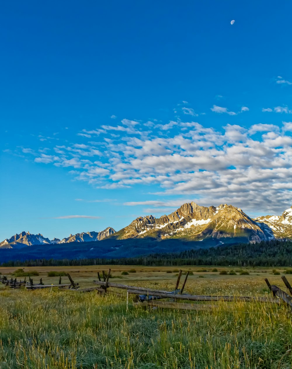 mountain cover with trees photography