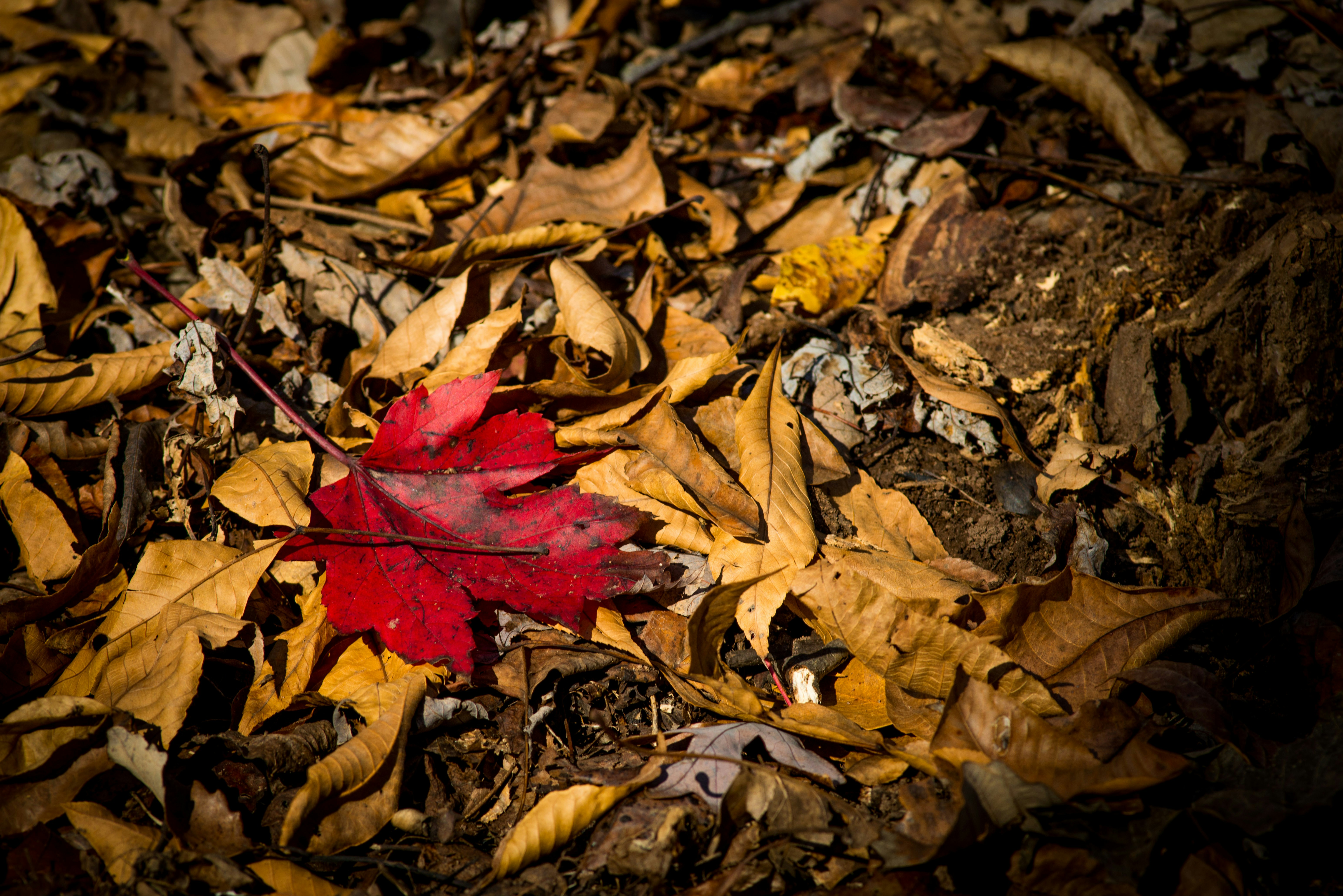 Photo by fstopusa