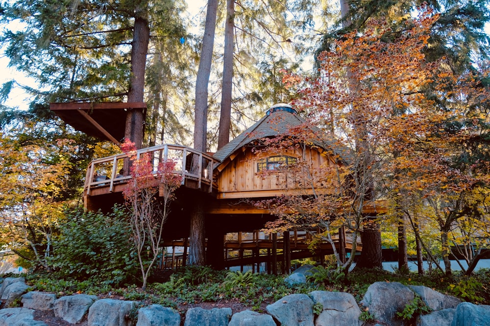 brown wooden house between trees at daytime