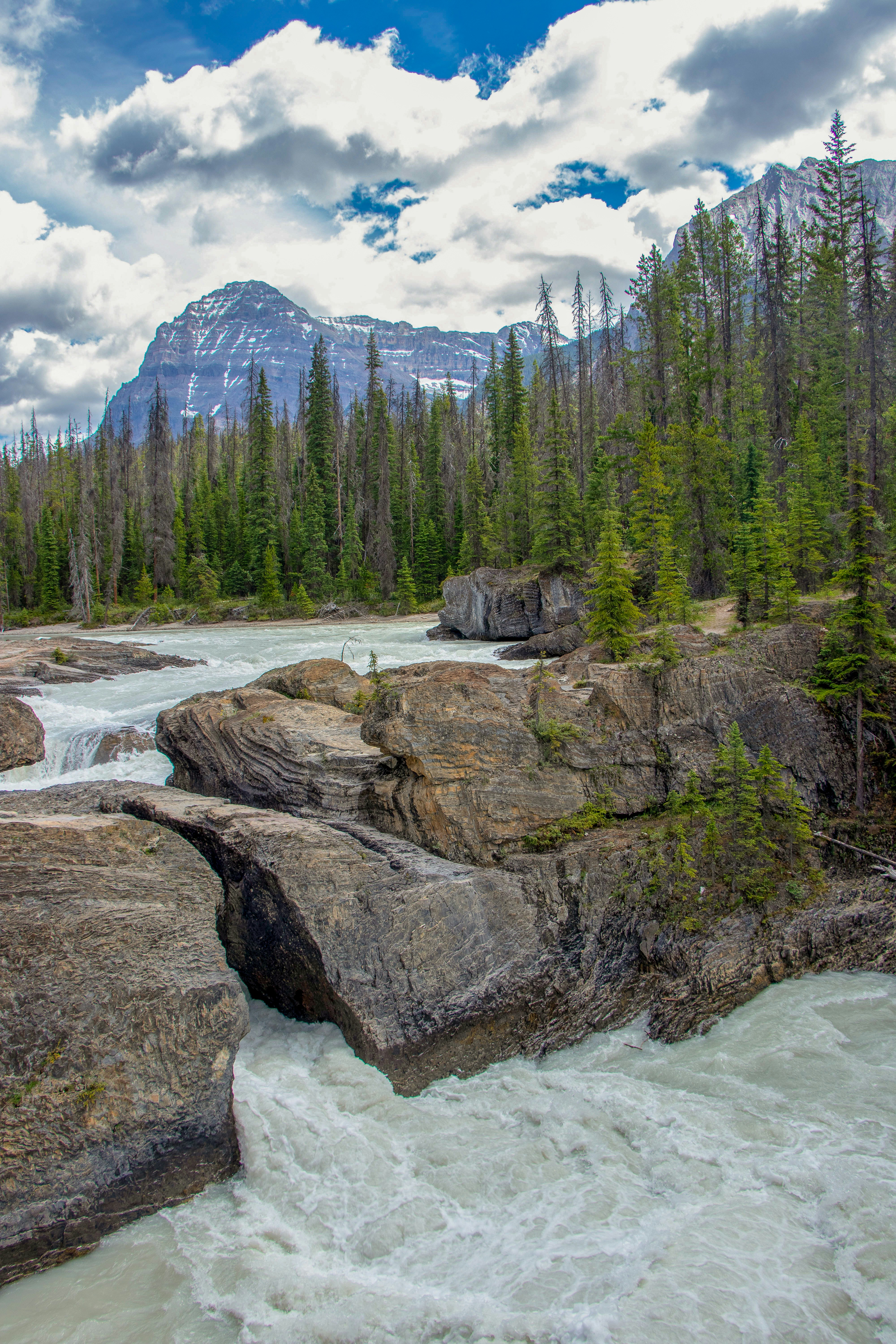 Photo by erica_tessmann