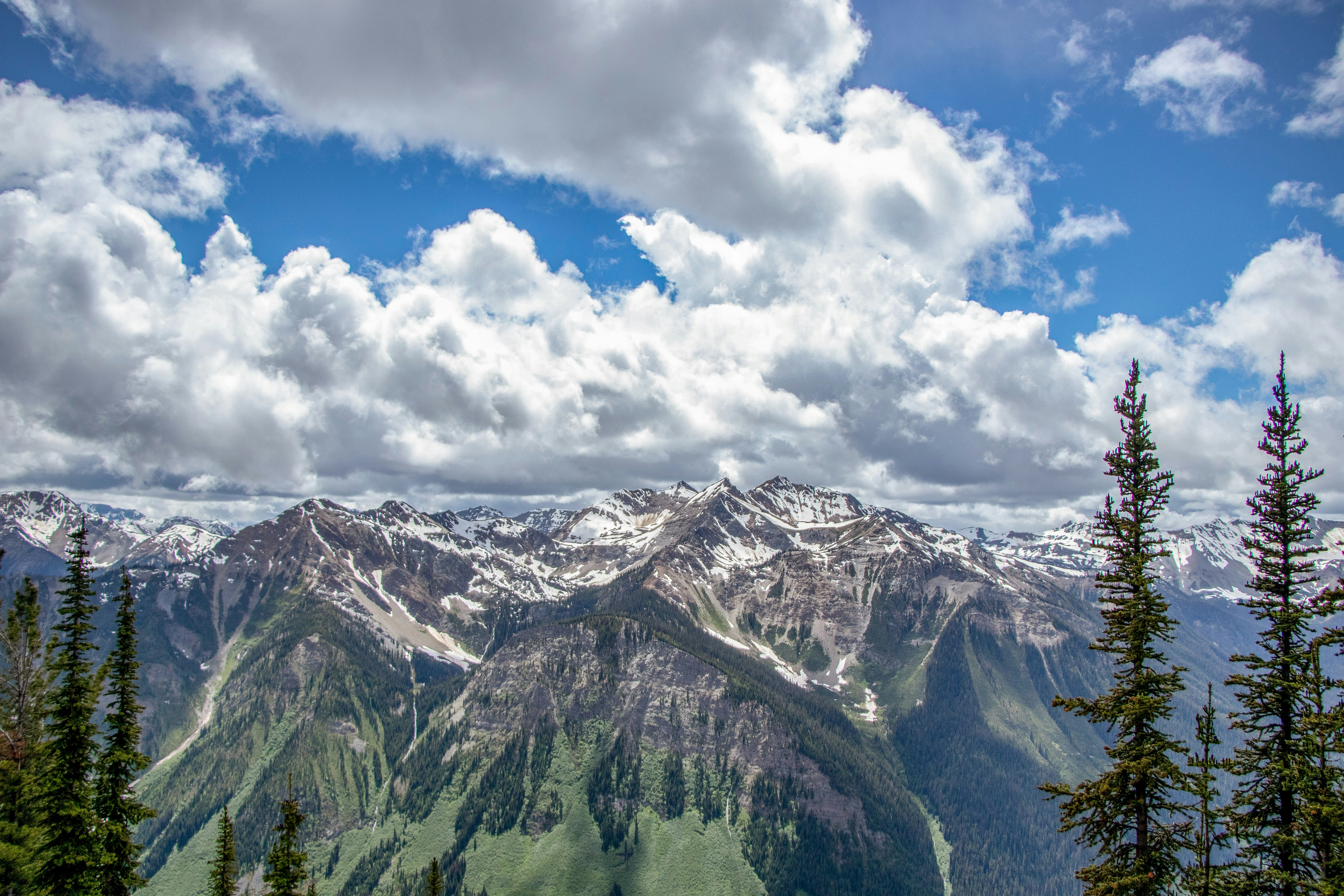 Photo by erica_tessmann