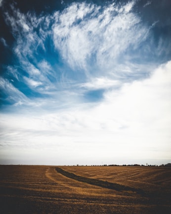 A vast agricultural field stretches out towards the horizon, with neatly plowed lines and a path leading through the crops. Above, a dramatic sky is filled with swirling clouds, transitioning from deep blue to bright white.