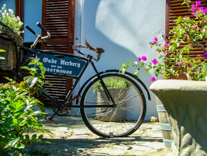 A vintage bicycle leaning against a rustic fence with wildflowers blooming nearby under soft morning light.