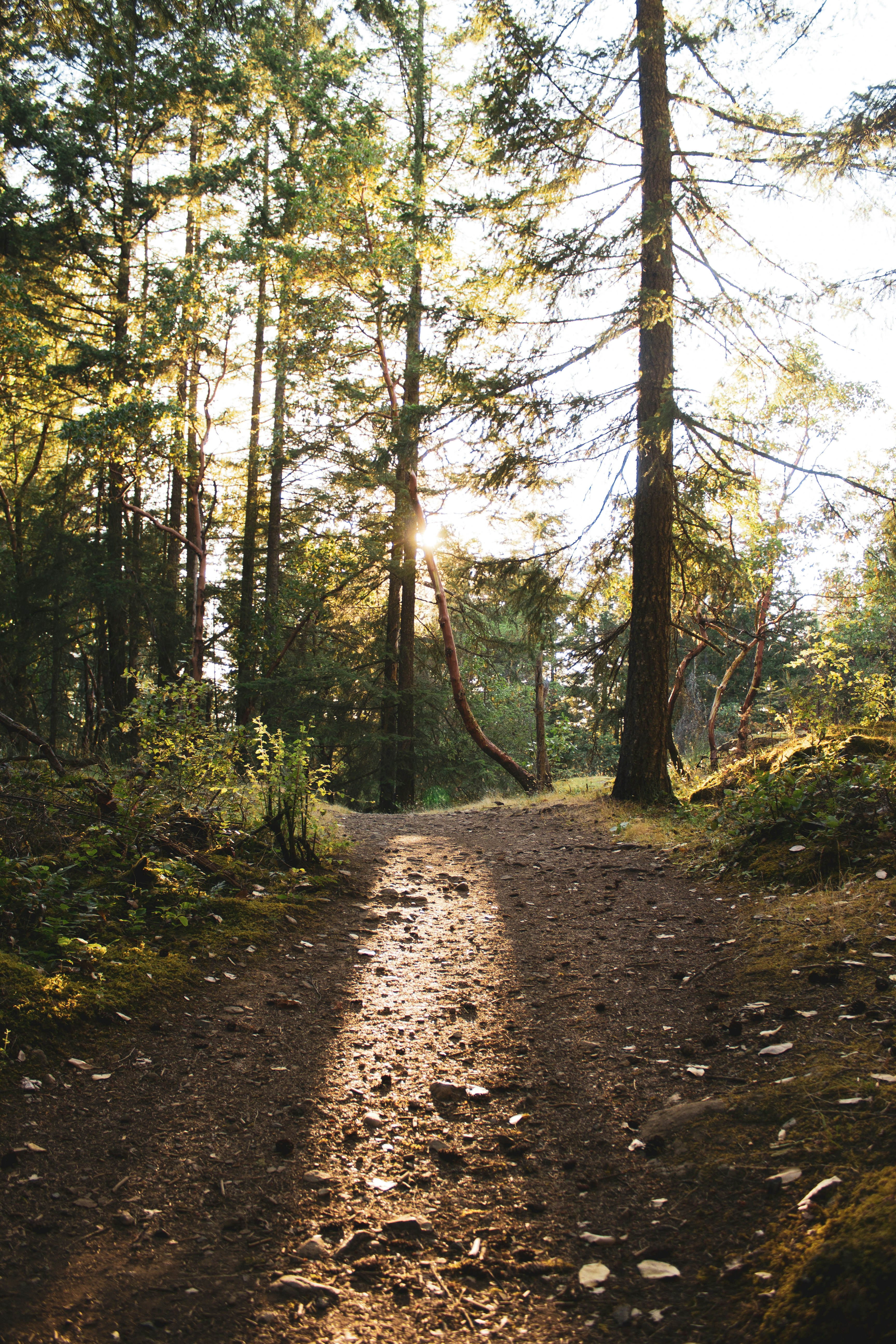 Photo by georgefennelly