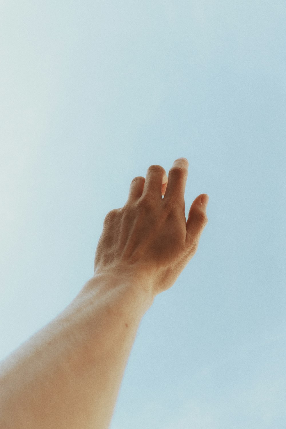 30k+ Hand Reaching Out Pictures  Download Free Images on Unsplash