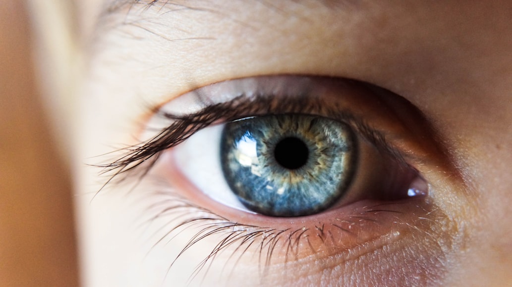 jaringan yang menyusun organ mata pada manusia adalah
