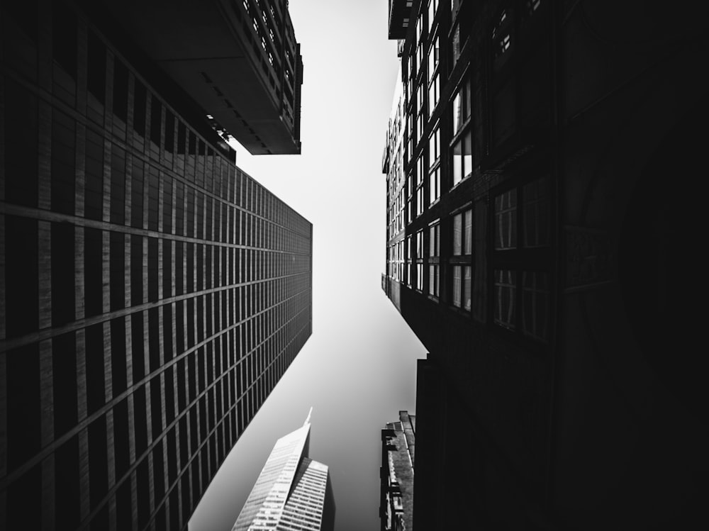 low-angle photography of buildings