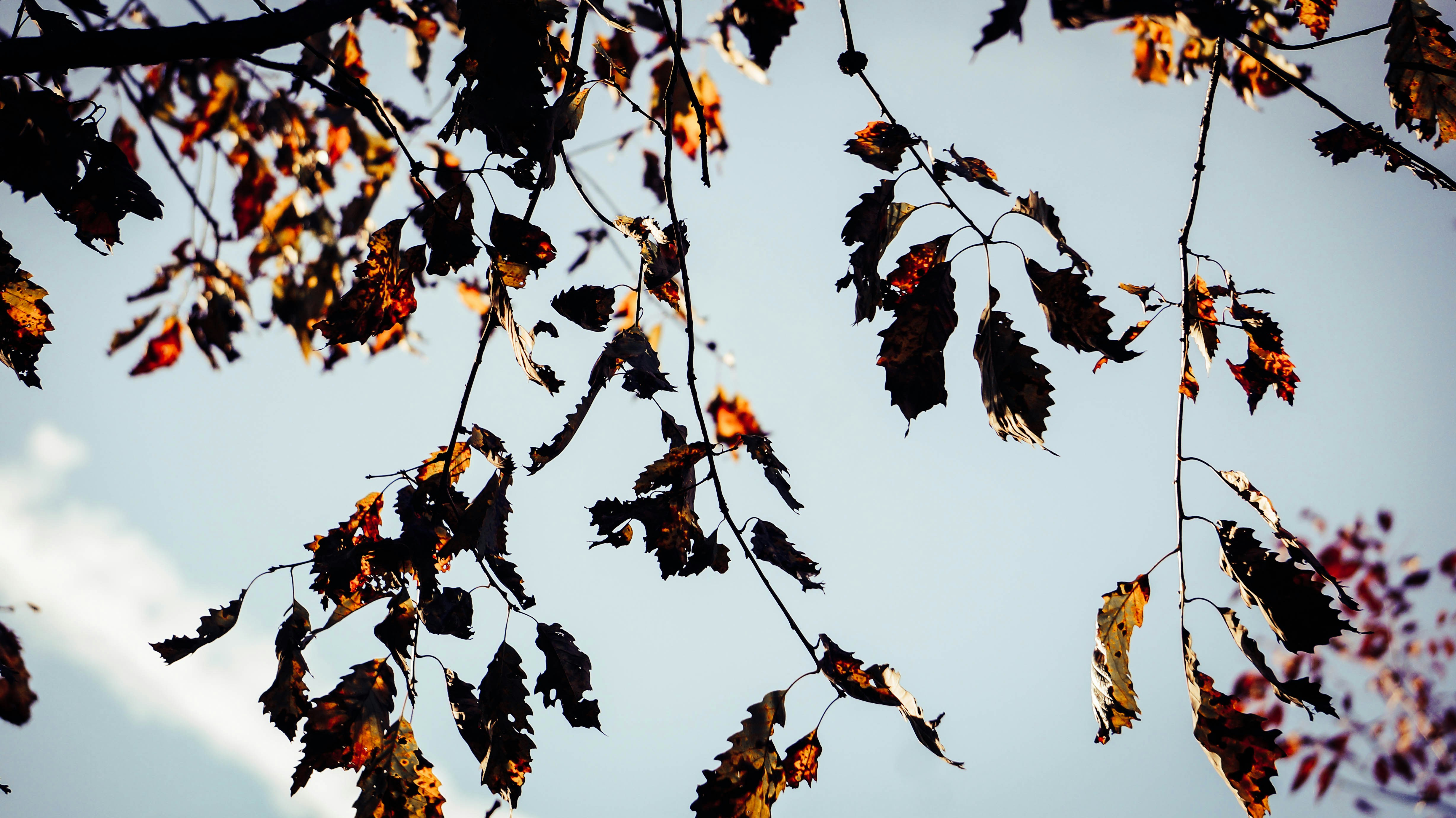 Photo by kaleajerielle