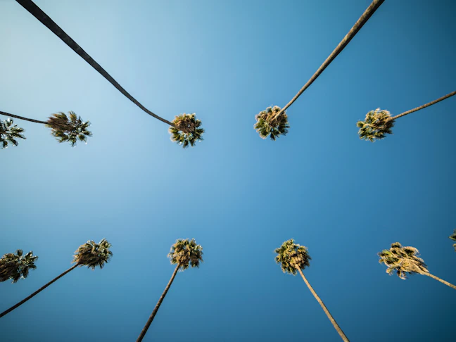 3-Day Los Angeles Budget Itinerary: LA for $50 a Day